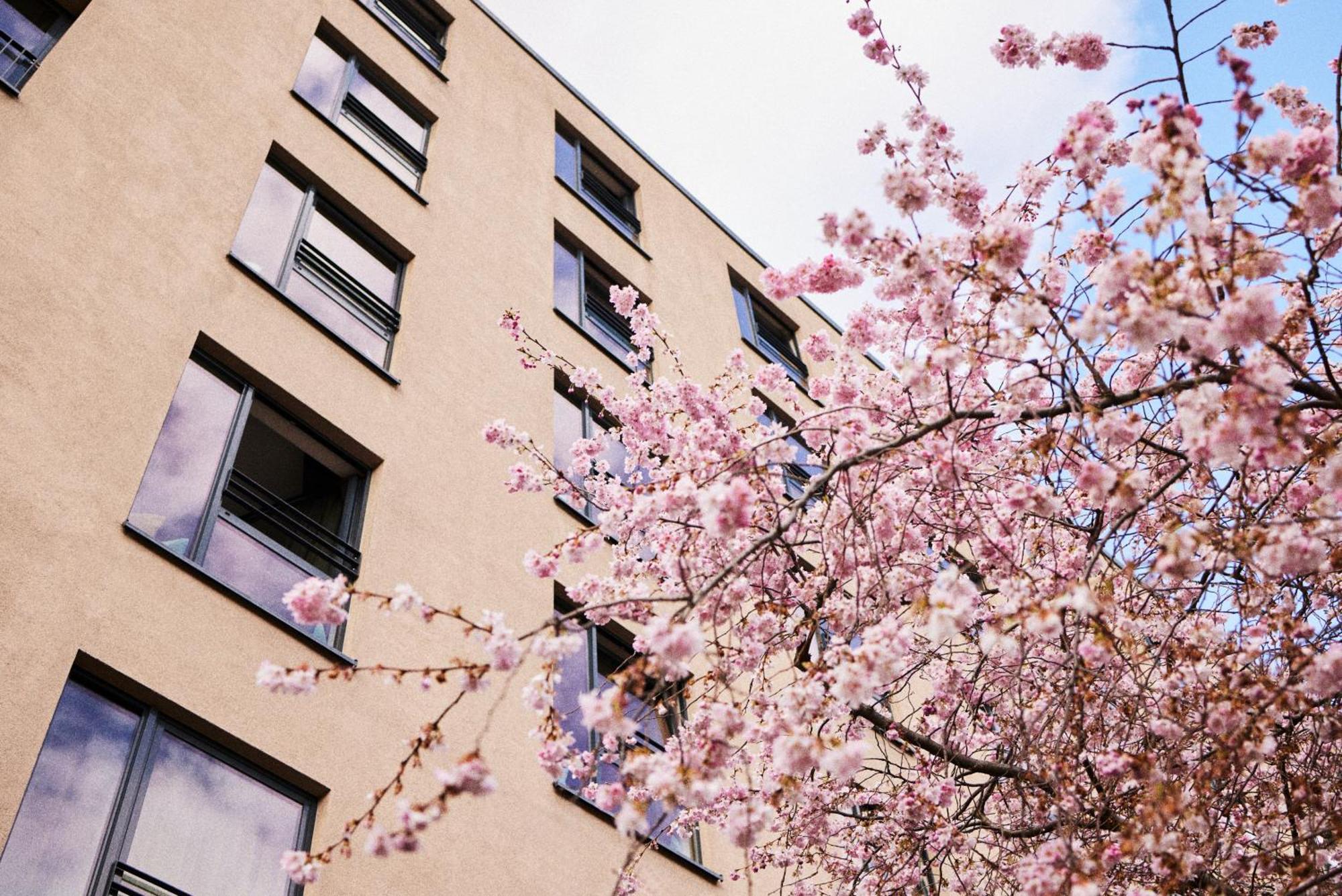 Hotel The George Hamburg Zewnętrze zdjęcie